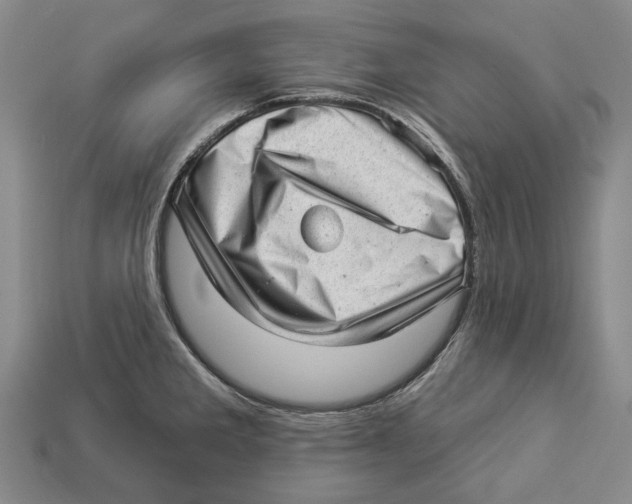X0000112981285200909241213