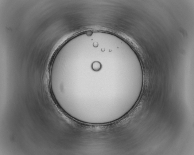 X0000112981286200909241213