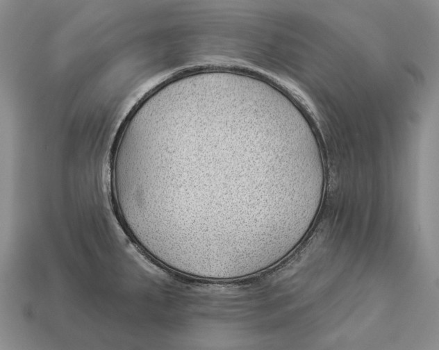 X0000112981287200909241213