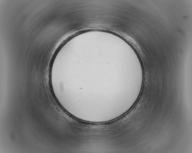 X0000112981288200909241213