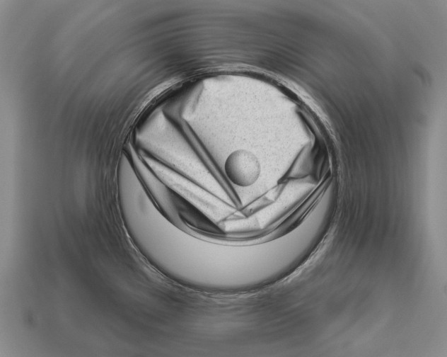X0000112981289200909241213