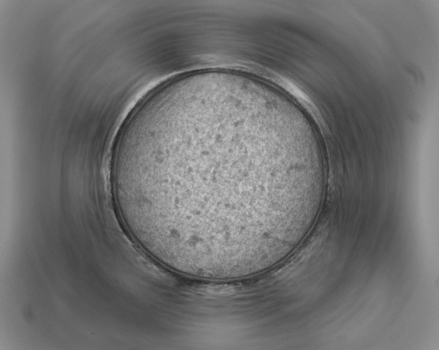 X0000112981291200909241213