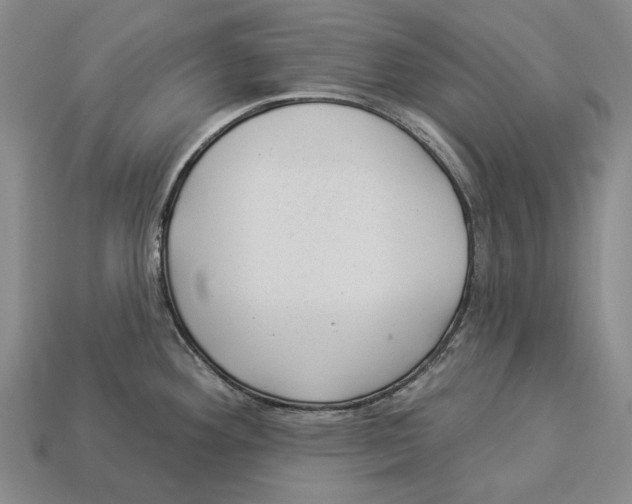 X0000112981292200909241212