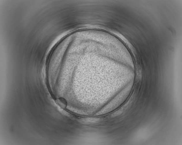 X0000112981294200909241212