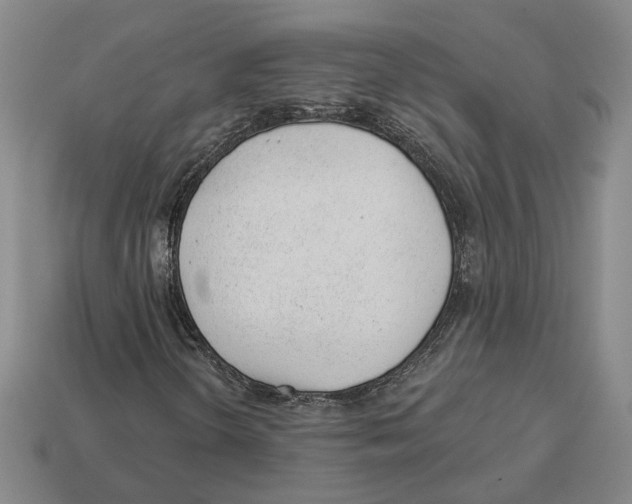 X0000112981298200909241212