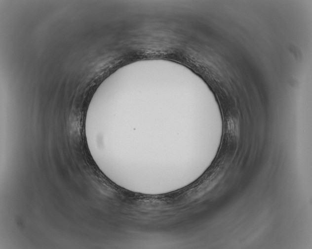 X0000112981300200909241212