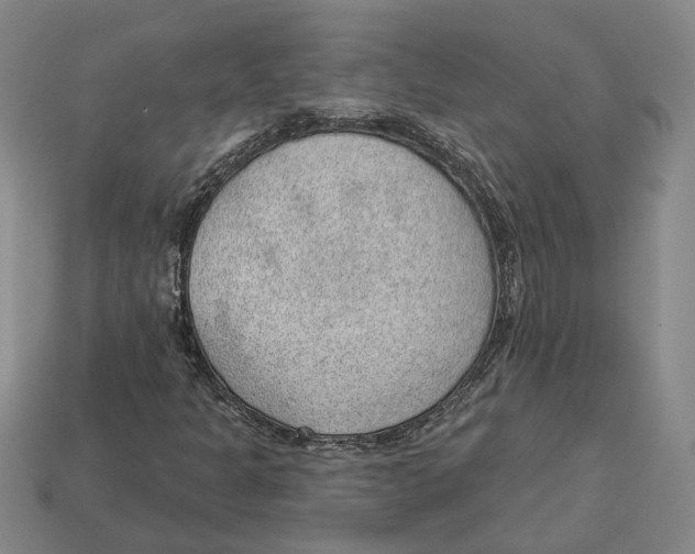 X0000112981301200909241212