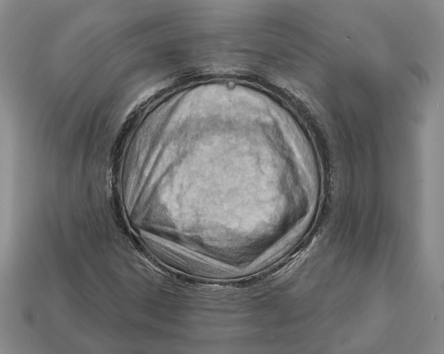 X0000112981306200909241212