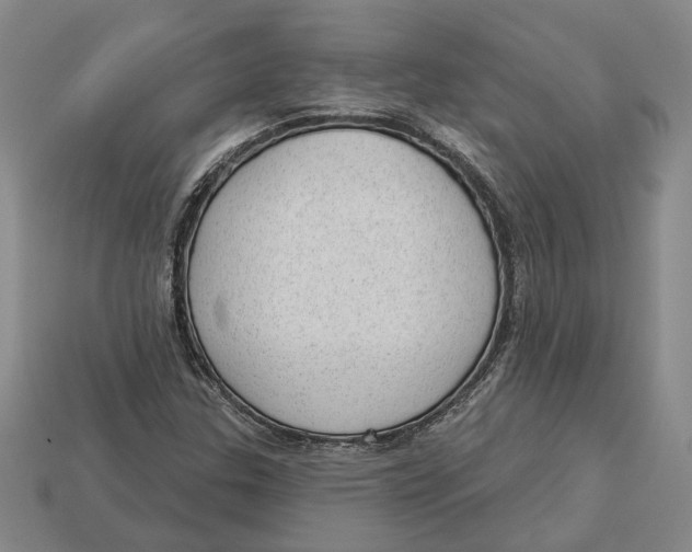 X0000112981307200909241212