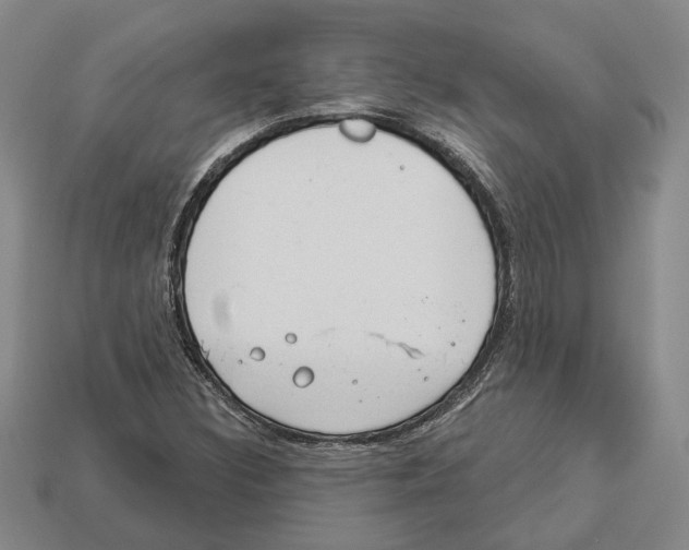 X0000112981308200909241212