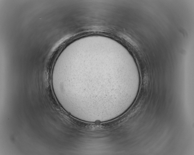 X0000112981310200909241212