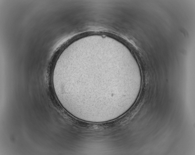 X0000112981311200909241212