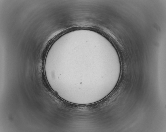 X0000112981315200909241212
