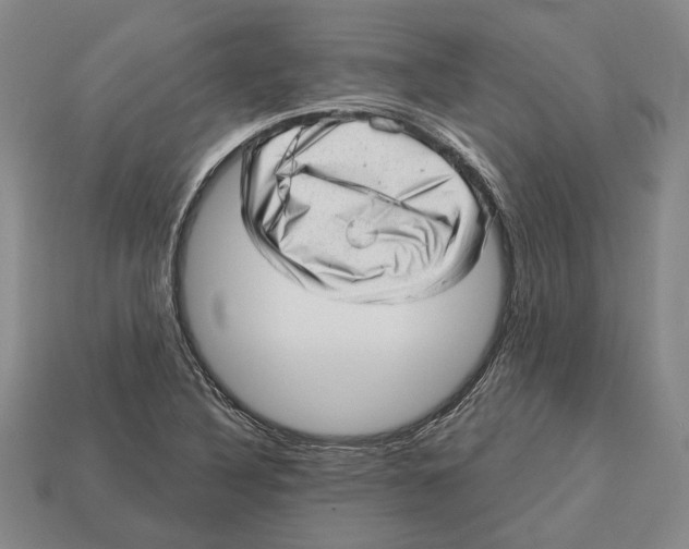 X0000112981316200909241212