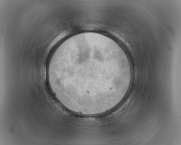 X0000112981317200909241212