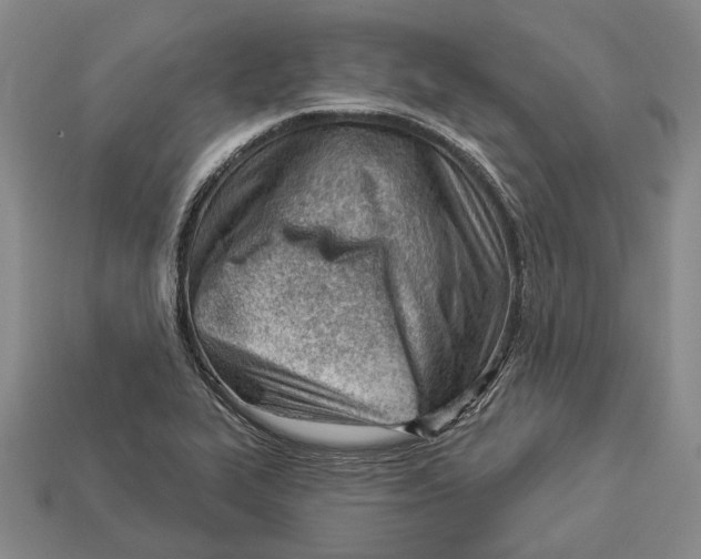 X0000112981319200909241212