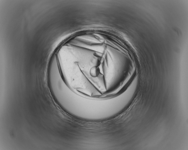 X0000112981320200909241212