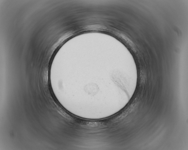 X0000112981322200909241212