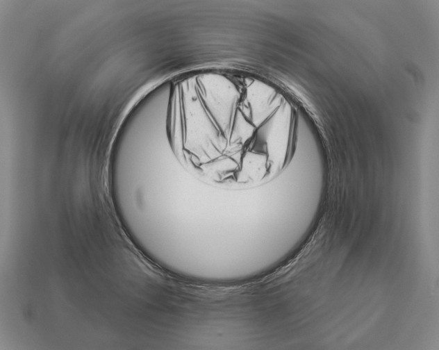 X0000112981324200909241212