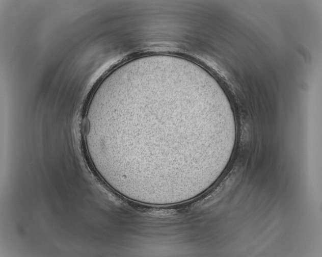 X0000112981325200909241212