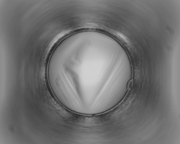X0000112981326200909241212