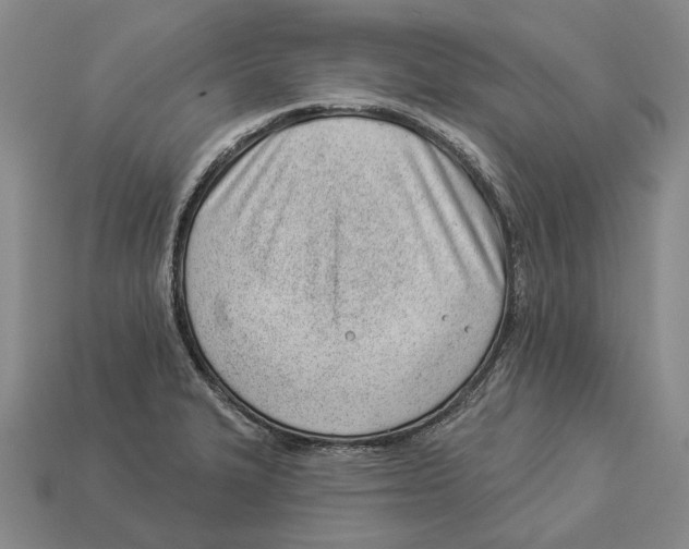 X0000112981327200909241212