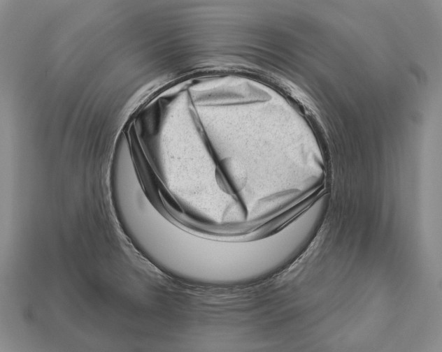 X0000112981330200909241212