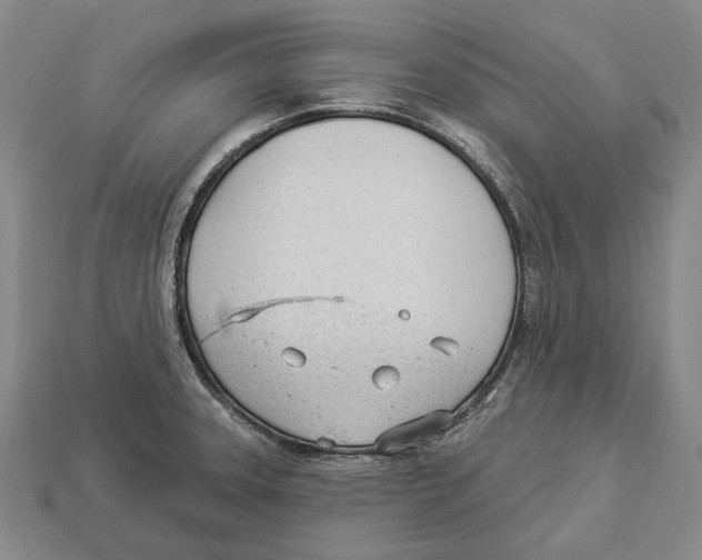 X0000112981331200909241212