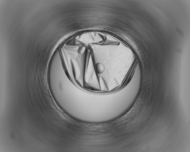 X0000112981332200909241212
