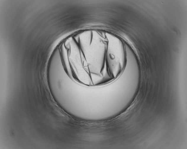 X0000112981336200909241212