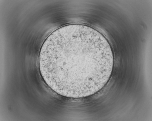 X0000112981338200909241212