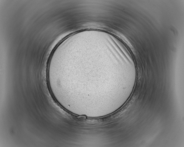 X0000112981339200909241212