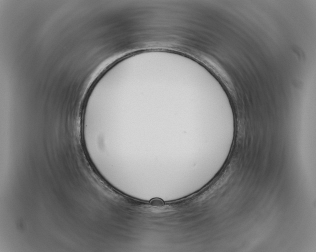 X0000112981340200909241212