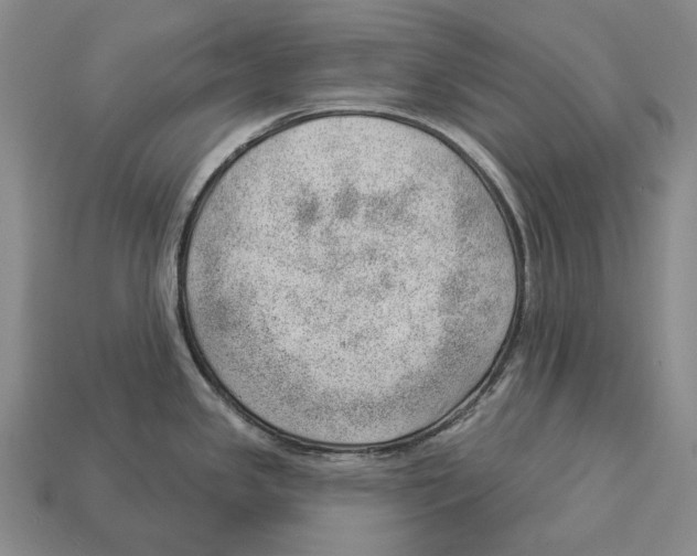 X0000112981341200909241212
