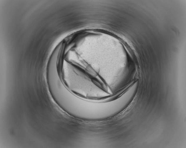 X0000112981342200909241212