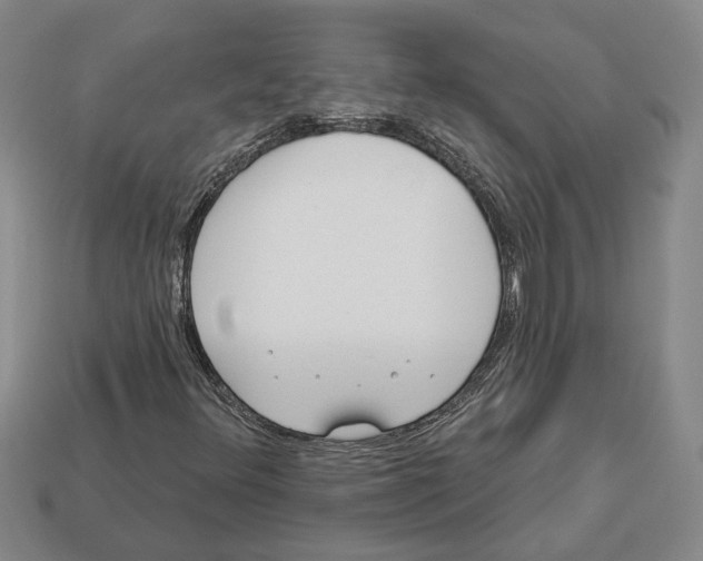 X0000112981348200909241212