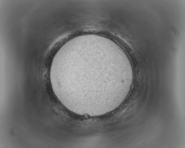 X0000112981351200909241212