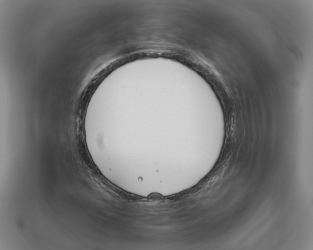 X0000112981352200909241212