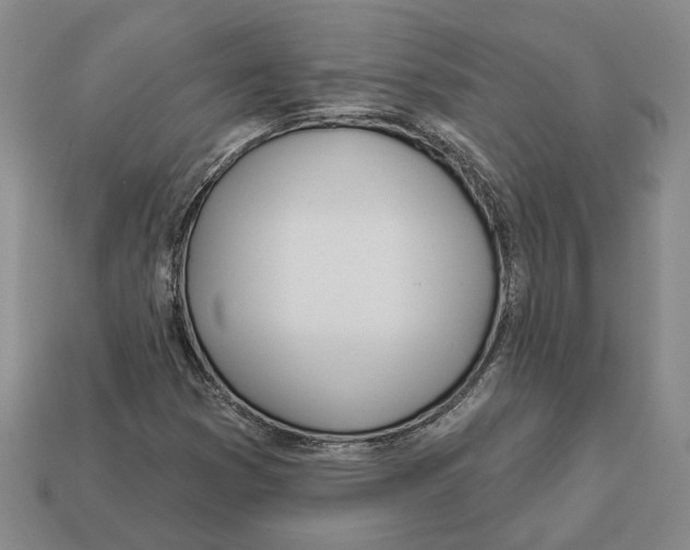 X0000112981353200909241212