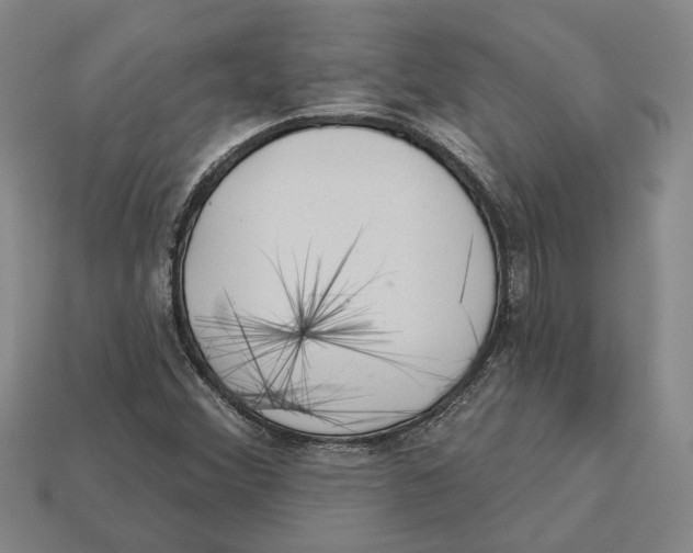 X0000112981356200909241212