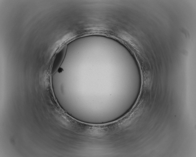 X0000112981357200909241212