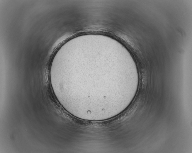 X0000112981358200909241212
