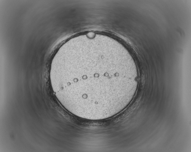 X0000112981359200909241212