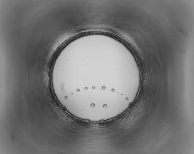 X0000112981360200909241212