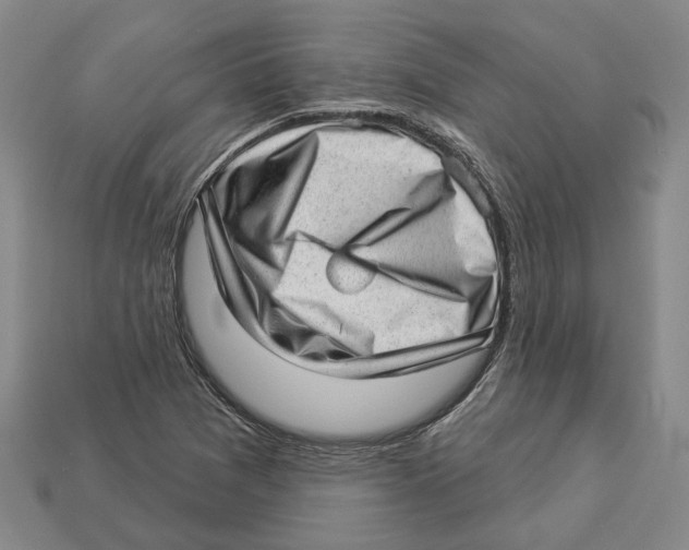 X0000112981361200909241212