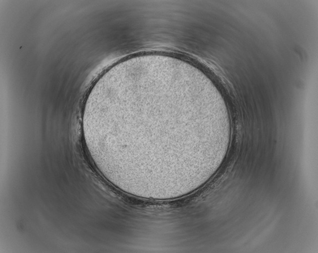 X0000112981363200909241212