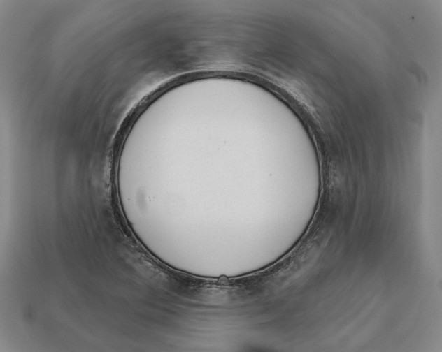 X0000112981364200909241212