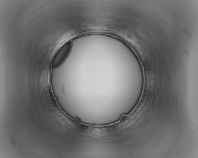 X0000112981365200909241212
