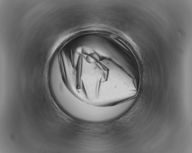 X0000112981368200909241212