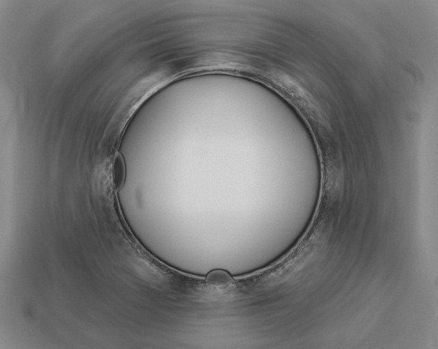 X0000112981369200909241212